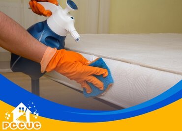 Mattress Cleaning Service